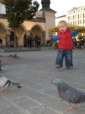 Chasing Pigeons on Market Square