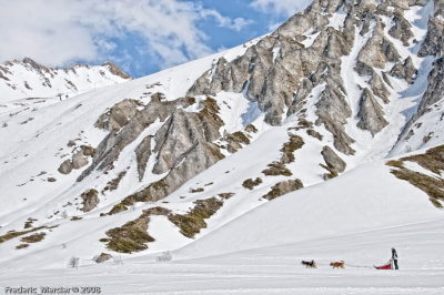 Mushers and Siberian Huskies