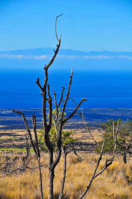 kaupo maui