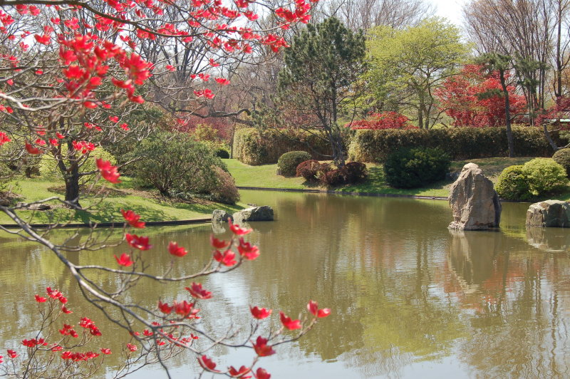 St. Louis Botanical Japanese Garden