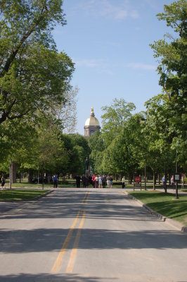Approaching the campus