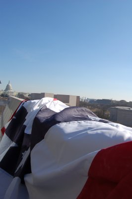 Capitol bunting