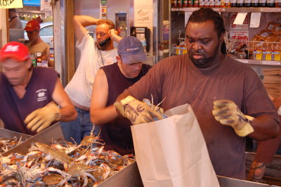 Lively crabs