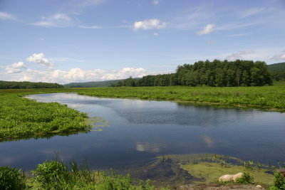 Basha Kill Water Flow and Wildlife Preserve 