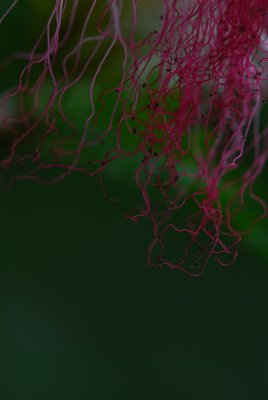 g1/51/801551/3/117969766.XIuuMB4n.jpg