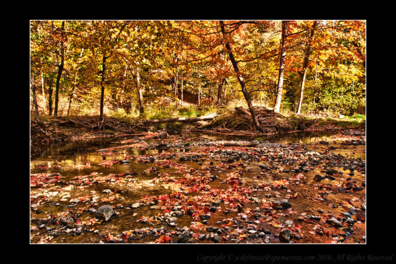 2010 - Wilket Creek Park
