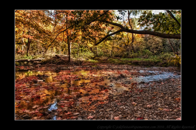 2010 - Wilket Creek Park