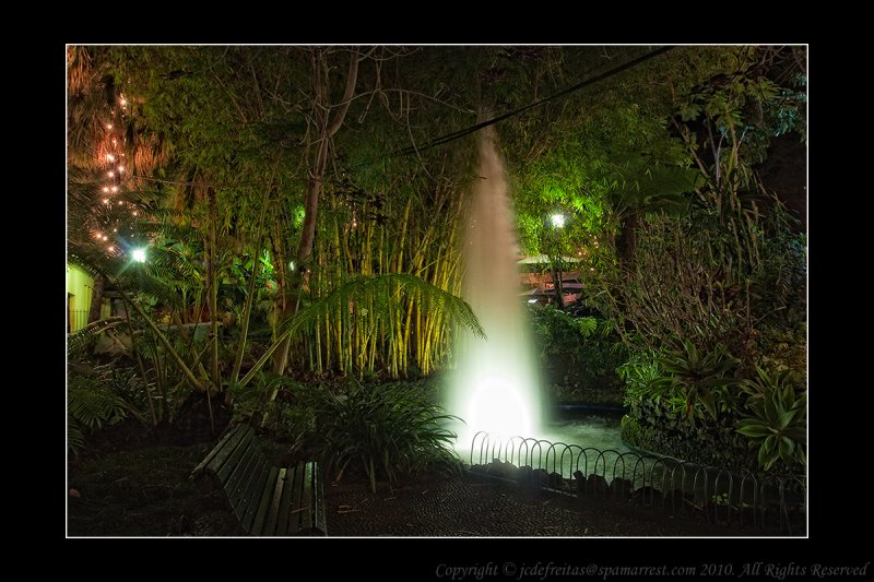 2011 - Street Lights - Funchal, Madeira