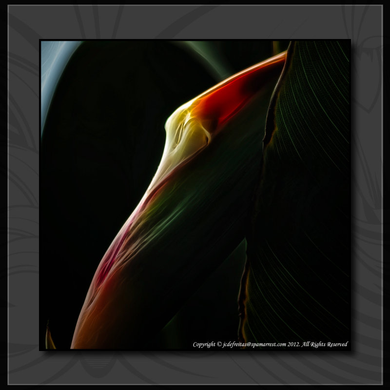 2012 - Baby Birds of Paradise - Royal Botanical Garden - Burlington, Ontario - Canada