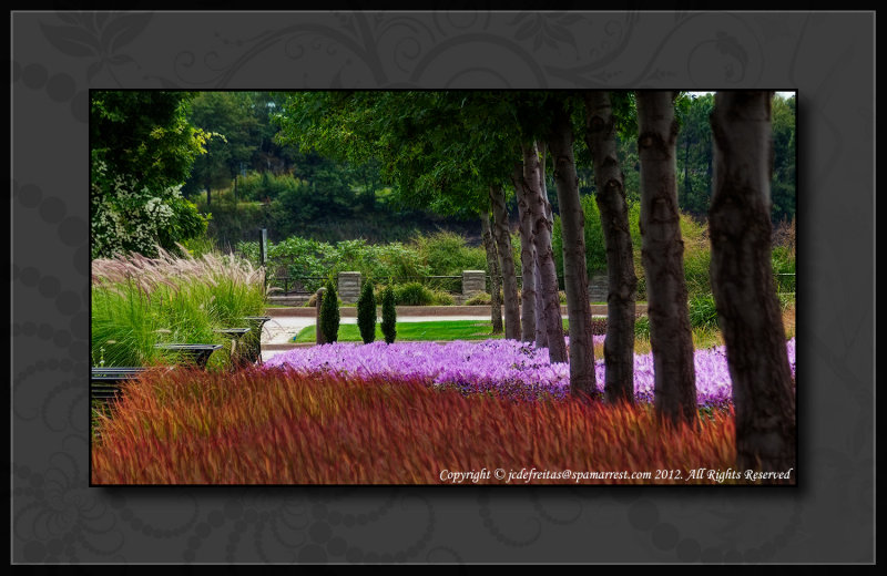 2012 - Autumn Crocus & Grasses - Niagara Parks Botanical Gardens - Niagara Falls, Ontario - Canada