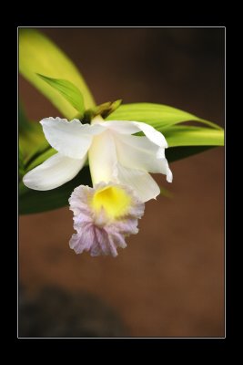 2009 - Botanical Garden - Funchal, Madeira