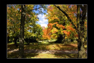 2009 - Mount Pleasant Cemetery