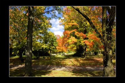 2009 - Mount Pleasant Cemetery