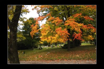 2009 - Mount Pleasant Cemetery