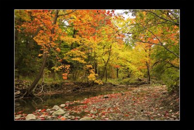 2009 - Wilket Creek Park