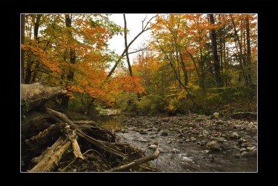 2009 - Wilket Creek Park