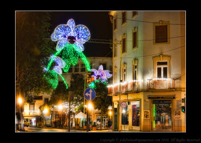 2011 - Street Lights - Funchal, Madeira