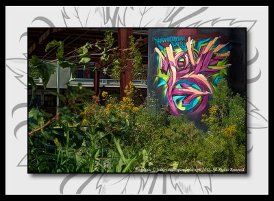 2012 - Graffiti -  Evergreen Brick Works - Toronto, Ontario - Canada