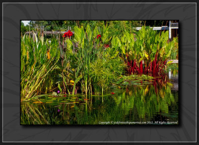 2012 - Reflections (Digital Painting) - Royal Botanical Garden - Burlington, Ontario - Canada