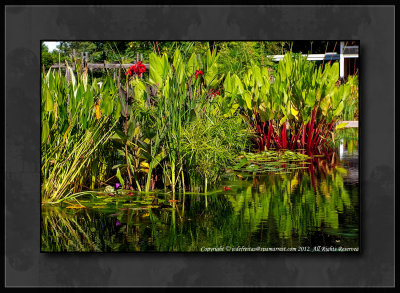 2012 - Royal Botanical Garden - Burlington, Ontario - Canada