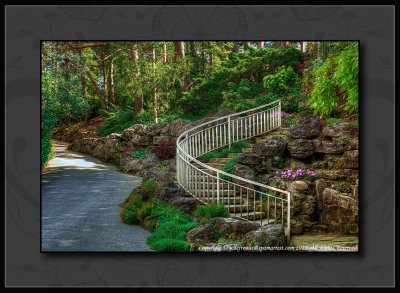 2012 - Rock Garden - Royal Botanical Garden - Burlington, Ontario - Canada