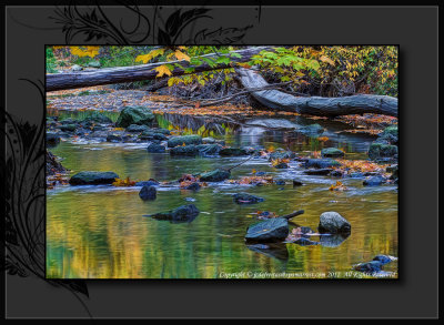 2012 - Autumn Colours - Wilket Creek Park, Toronto