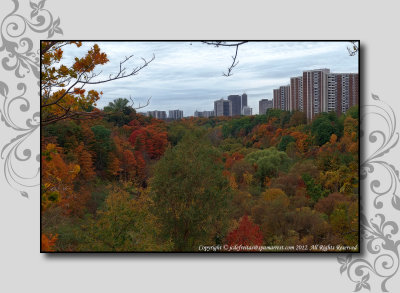 2012 - Autumn Colours - Linkwood Lane Park - Toronto, Ontario - Canada