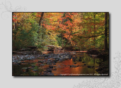 2012 - Autumn Colours - Wilket Creek Park - Toronto, Ontario - Canada