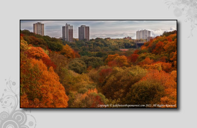 2012 - Autumn Colours - Glen Road Bridge - Toronto, Ontario - Canada