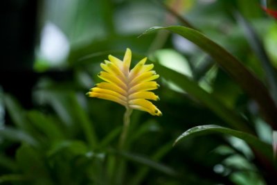 _MG_2406.jpg