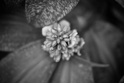 _MG_2427.jpg