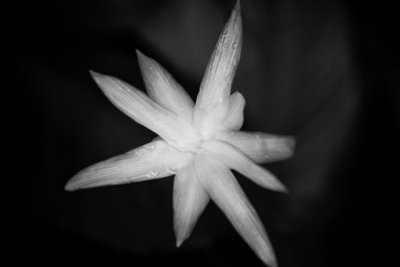 _MG_2457.jpg