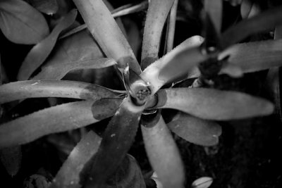 _MG_2466.jpg