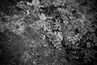 _MG_2479.jpg
