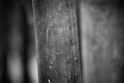 _MG_2529.jpg