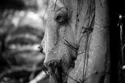 _MG_2563.jpg