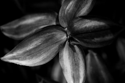 _MG_2575.jpg