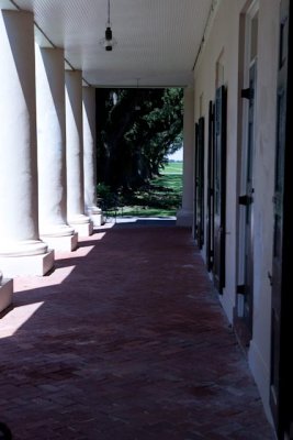 _MG_5052.jpg