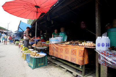 Road to Vang Vieng - a laotian village