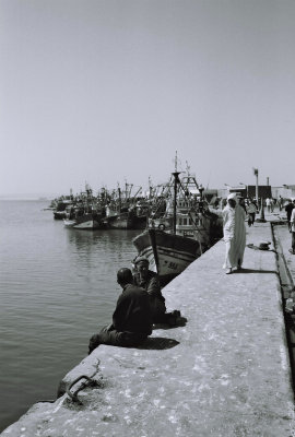 Essaouira - Port (46)