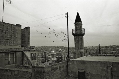 Aleppo  - skyline