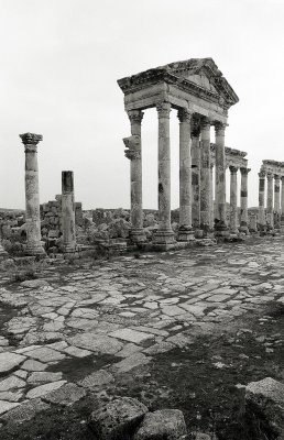 Apamea