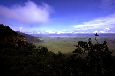 2007 02 02 - Ngorongoro