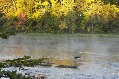 IMG_0204.jpg