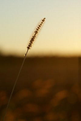 _NOL5368_2.jpg