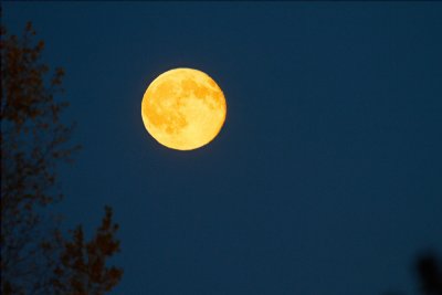 Lune d'automne