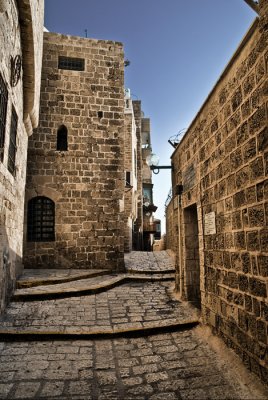 DSC_8146.jpg