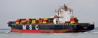 MSC Ans