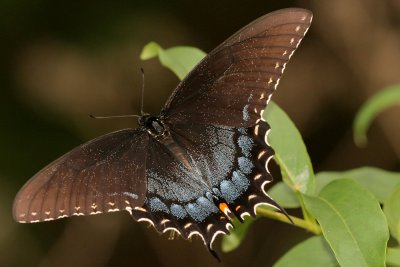 g1/51/908251/3/117335383.h0xLgH1b.jpg