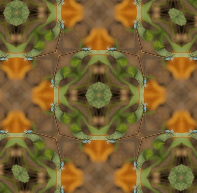 Damselfly Mosaic